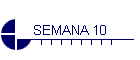 SEMANA 10