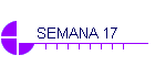 SEMANA 17