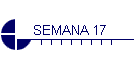 SEMANA 17
