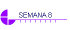SEMANA 8